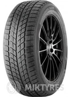 Шины Double Star Winterking DW09 255/50 R19 107T